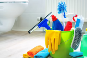 Messie Reinigung Gifhorn